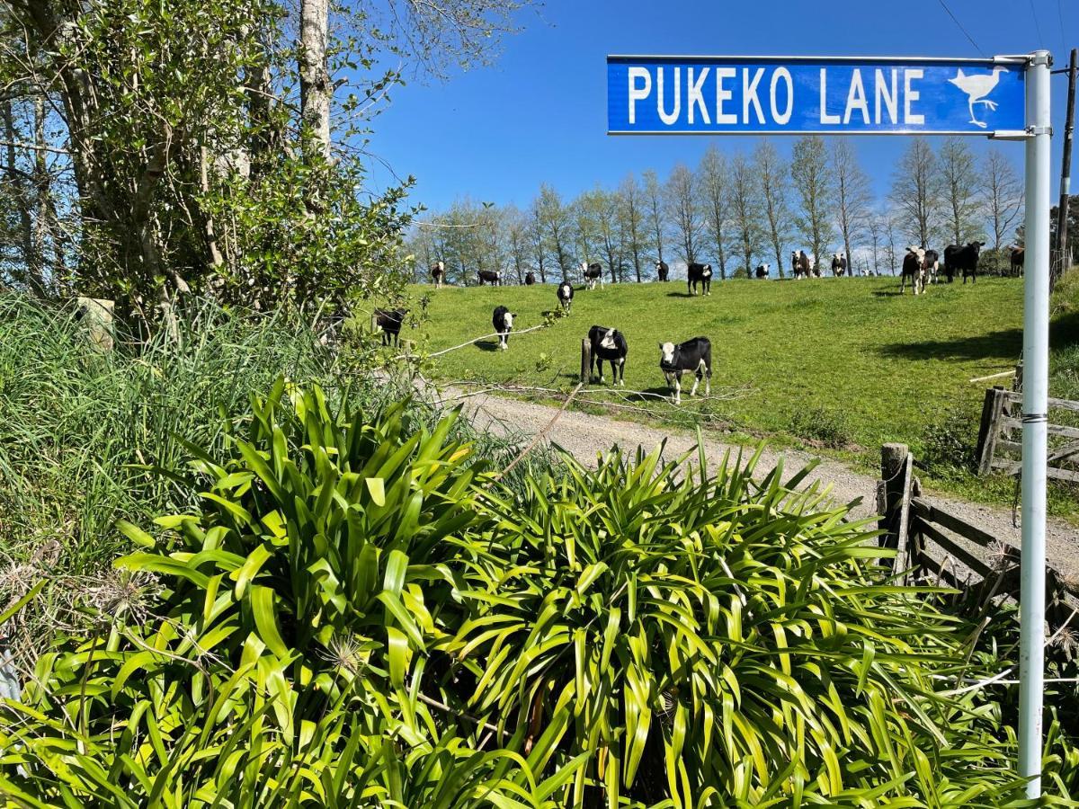 Apartmán Pukeko Lane Tauranga Exteriér fotografie